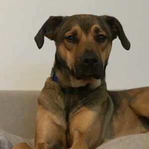 Meet your Posher, Mike